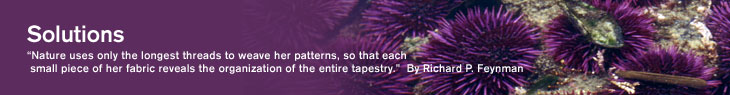 Solutions // Nature uses only the longest threads to weave her patterns, so that each small piece of her fabric reveals the organization of the entire tapestry. - By Richard P. Feynman